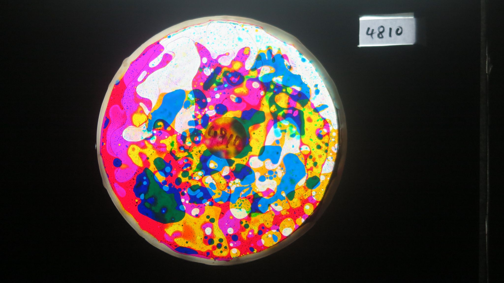 BV4810 bubble vision oil wheel